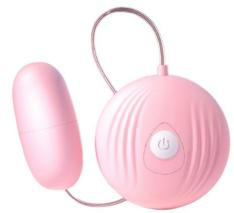 Vibrating Egg - Bullet