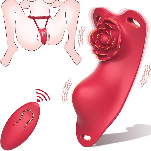 Remote Control Vibrator - Wearable