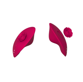Vibrator