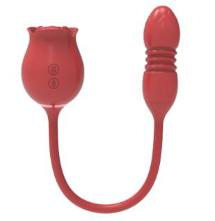 10 Sucking Modes + 10 Thrusting Modes Vibrator