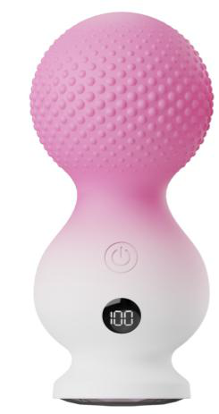 Vibrator