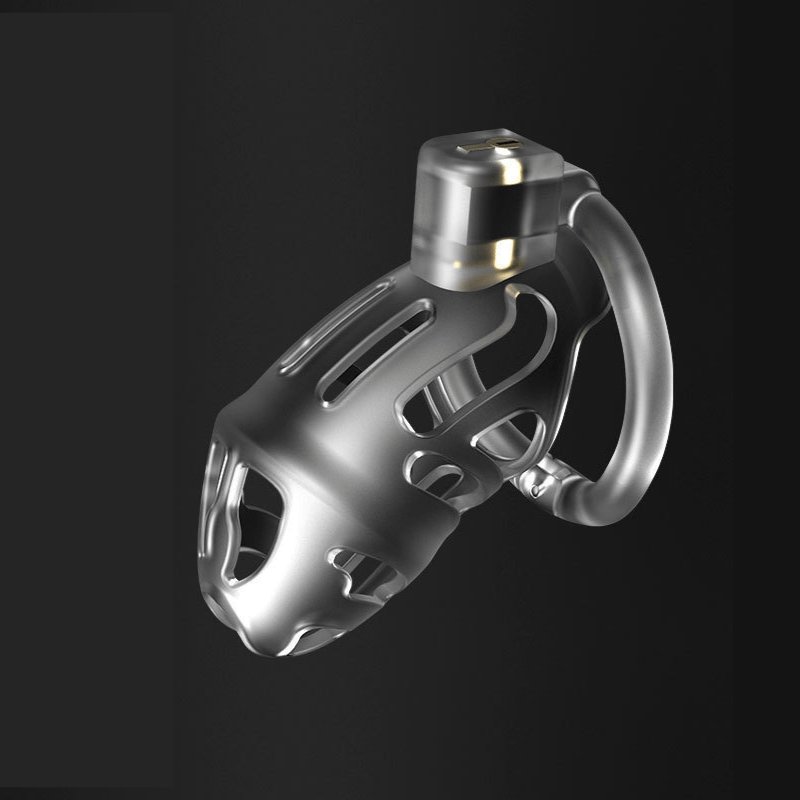 TB-B173 Chastity Cage with Padlock Flat Base Ring - Bondage restraints