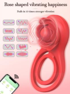 10 Vibration Modes Vibrator