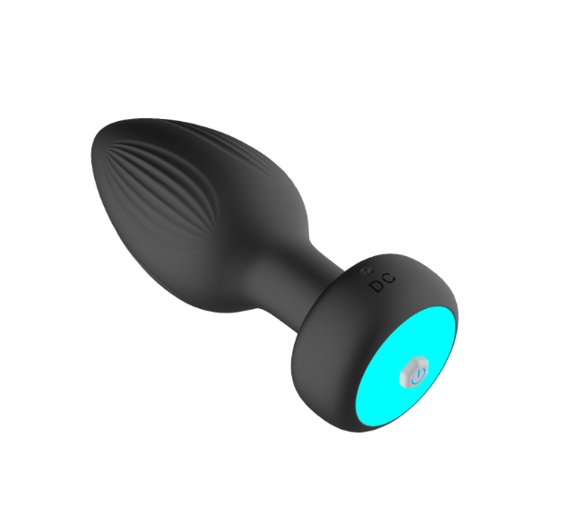 Remote Control Vibrator with LED Light