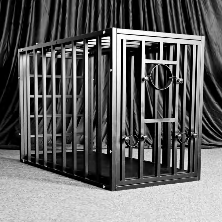 Double Lock Position Cage - Bondage restraints