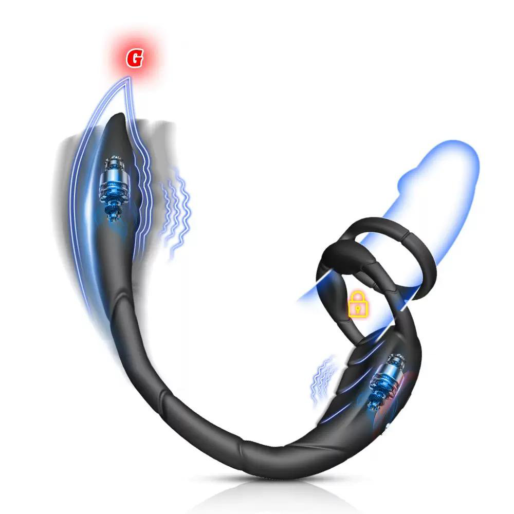 Vibrator with Two Motors