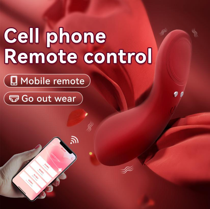 Remote Control Vibrator - Wearable