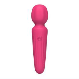 AV Stick Vibrator - Vibrators