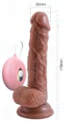 Vibrator - Vibrators