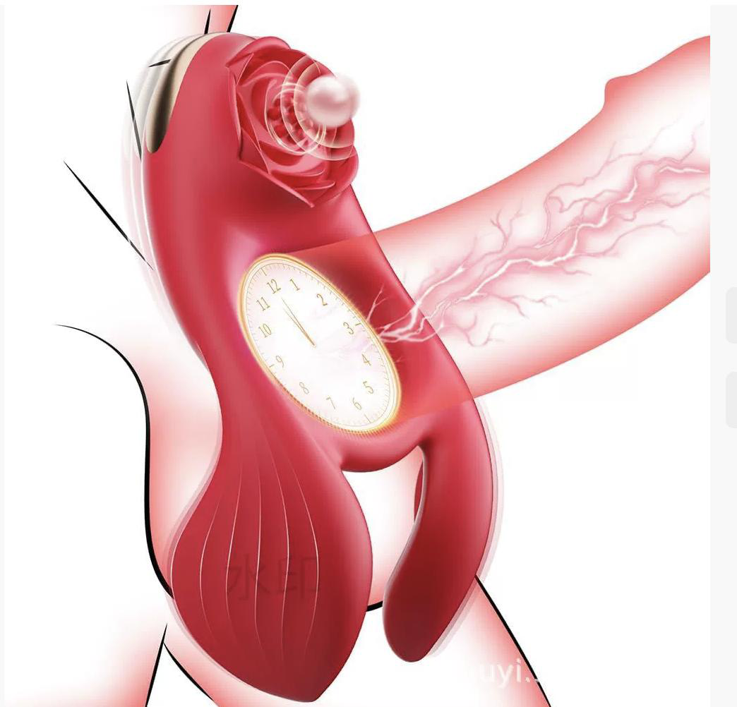 Vibrator — Zhenshuang Adult Toy - Vibrators