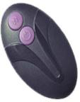 Double Layer Vibrator with Remote - Vibrators
