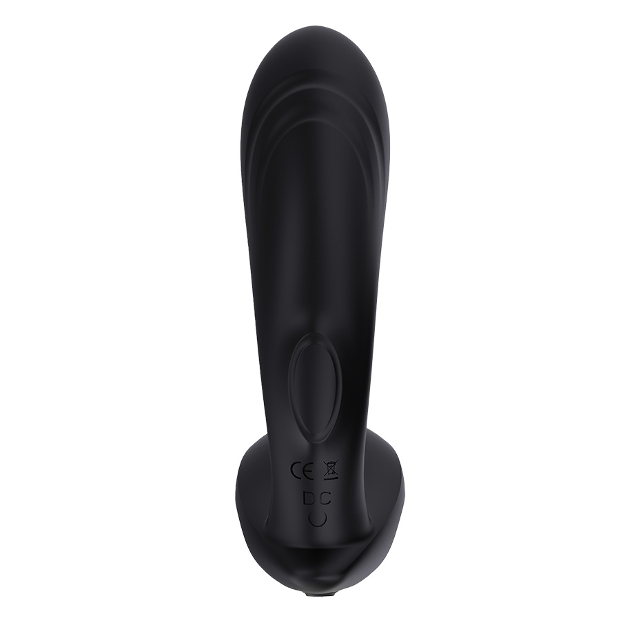 Dual-Function Flapping and Vibrating Toy with Remote